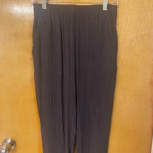 Loft Outlet petite pants